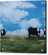 Odd Cow Out Acrylic Print