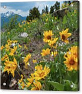 Oh Lovely Colorado Acrylic Print