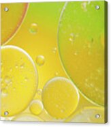 Oil And Water Bubbles Acrylic Print