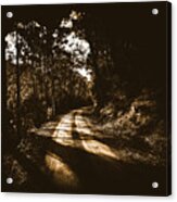 Old Forest Road Acrylic Print