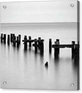 Old Pilings Black And White Acrylic Print