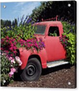 Old Red Flower Truck Acrylic Print