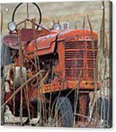 Old Timer Acrylic Print