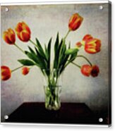 Old World Tulips Acrylic Print