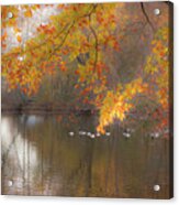 On Golden Pond Acrylic Print