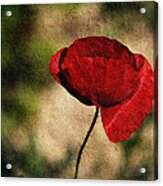 On My Wall Acrylic Print