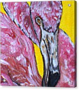 One Hot Pink Flamingo Acrylic Print