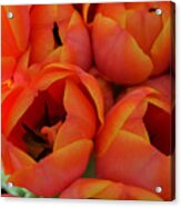 Orange Flower Acrylic Print