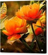 Orange Flowers And Butterfly Acrylic Print