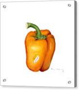 Orange Pepper Acrylic Print