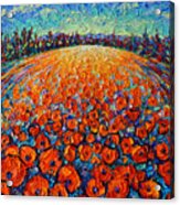 Orange Poppies Magic Modern Impressionist Landscape Impasto Knife Oil Painting By Ana Maria Edulescu Acrylic Print