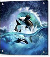 Orca Wave Acrylic Print