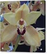 Orchid Impression Acrylic Print
