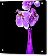 Orchids In A Vase Acrylic Print