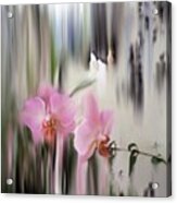 Orchids With Dragonflies Acrylic Print