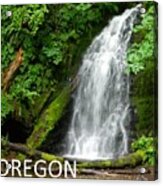Oregon Waterfall Acrylic Print