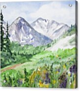 Original Watercolor - Colorado Mountains And Flowers Acrylic Print