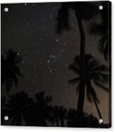 Orion Framed By Palms Acrylic Print