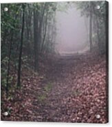 Out Of The Fog Acrylic Print
