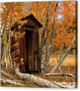 Outhouse In The Aspens Acrylic Print