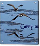 Over Icy Waters Carry On Acrylic Print