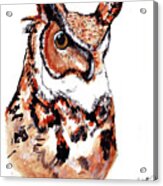 Owl Acrylic Print