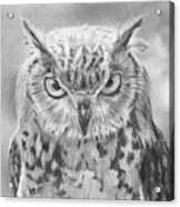 Owl Portrait Acrylic Print