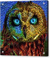 Owl Acrylic Print