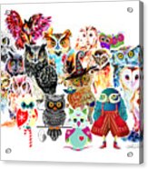 Owls Collage By Isabel Salvador Acrylic Print