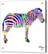 Paint Splatter Zebra Acrylic Print