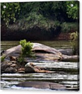 Painted Congaree Currents Acrylic Print