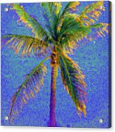 Palm 1005 Acrylic Print