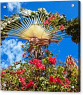 Palm And Flowers Acrylic Print