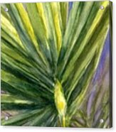 Palm Frond Acrylic Print