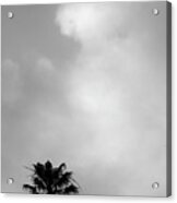 Palm Tree And Clouds Acrylic Print