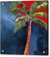 Palm Tree- Art By Linda Woods Acrylic Print