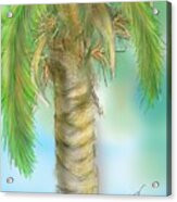 Palm Tree Study Two Acrylic Print
