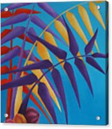 Palm Tree With Coconuts 1 Acrylic Print