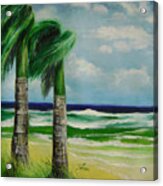 Palm Trees In The Wind Acrylic Print