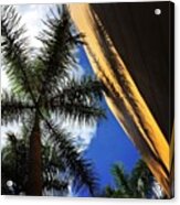 Palm With Yellow Building Acrylic Print