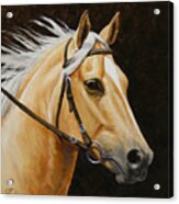 Palomino Horse Portrait Acrylic Print