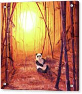 Panda In Golden Glow Acrylic Print