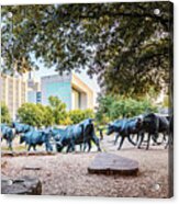 Panorama Of Cattle Drive At Pioneer Plaza In Downtown Dallas - North Texas Acrylic Print