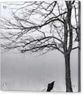 Park Bench And Leafless Tree In Fog - Hi-key Acrylic Print