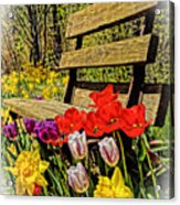 Park Bench W/ Spring Flowers Acrylic Print