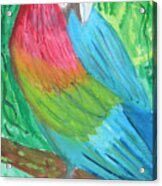 Parrot At Sundy House Acrylic Print