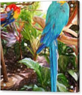 Parrots In Paradise Acrylic Print