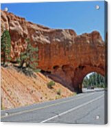 Passing Through Bryce Acrylic Print