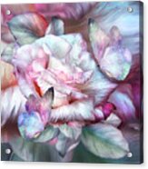 Pastel Rose And Butterflies Acrylic Print