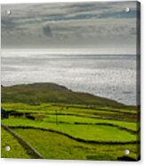 Pastures At The Coast Of Ireland Acrylic Print